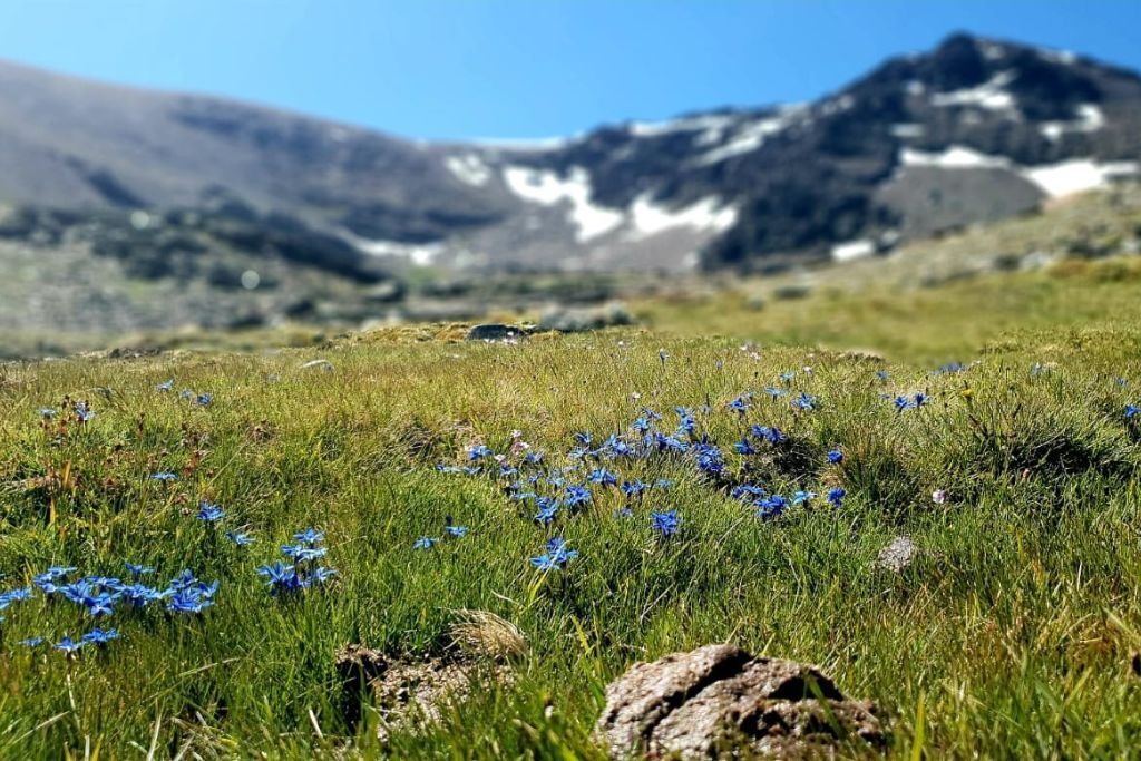 Photo of Outdoor in Marchal