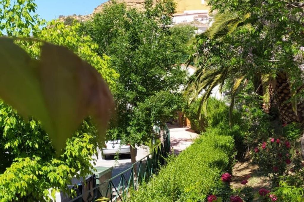Photo of Outdoor in Marchal