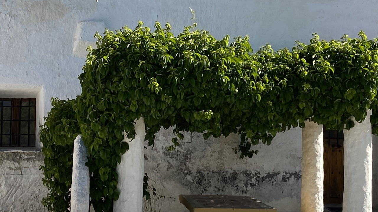 Photo of Patio Balcony in Baza