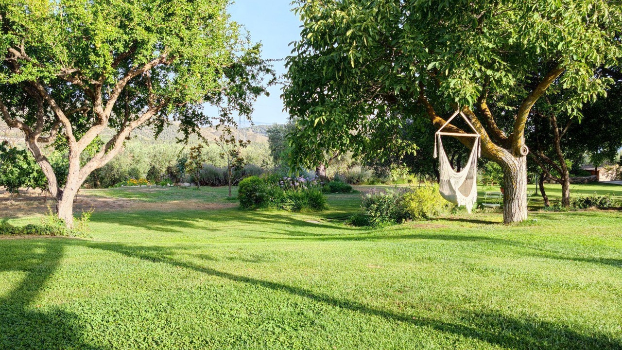 Photo of Outdoor in Niguelas