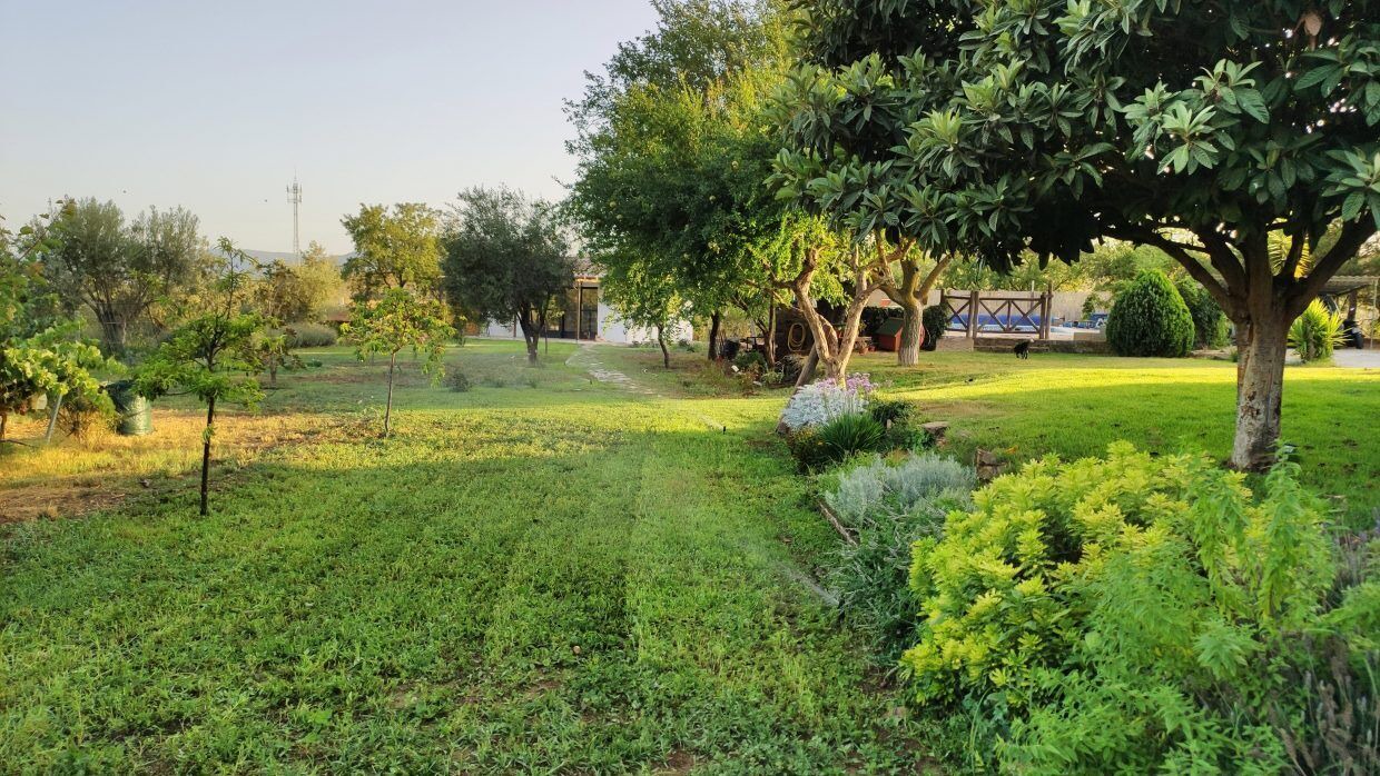 Photo of Outdoor in Niguelas