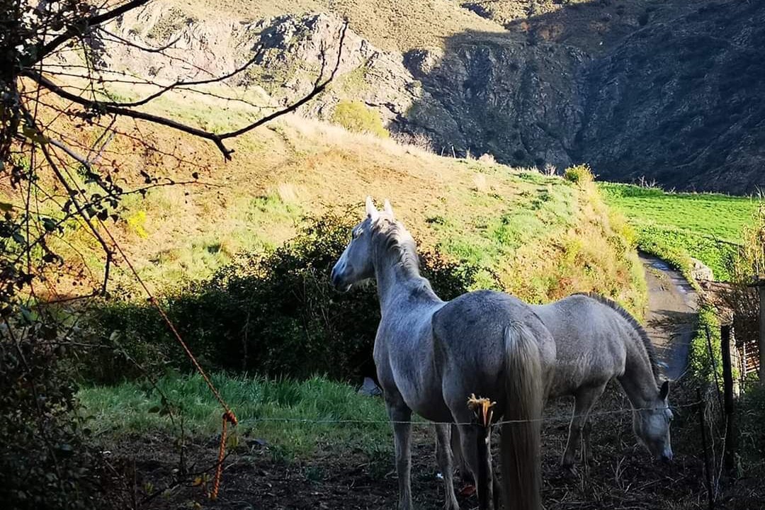 Photo of Outdoor in Busquistar