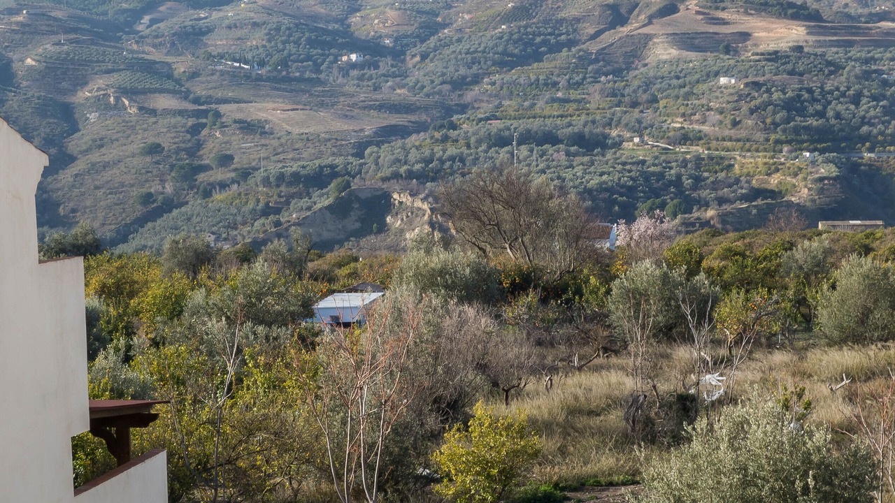 Photo of Others in Melegis