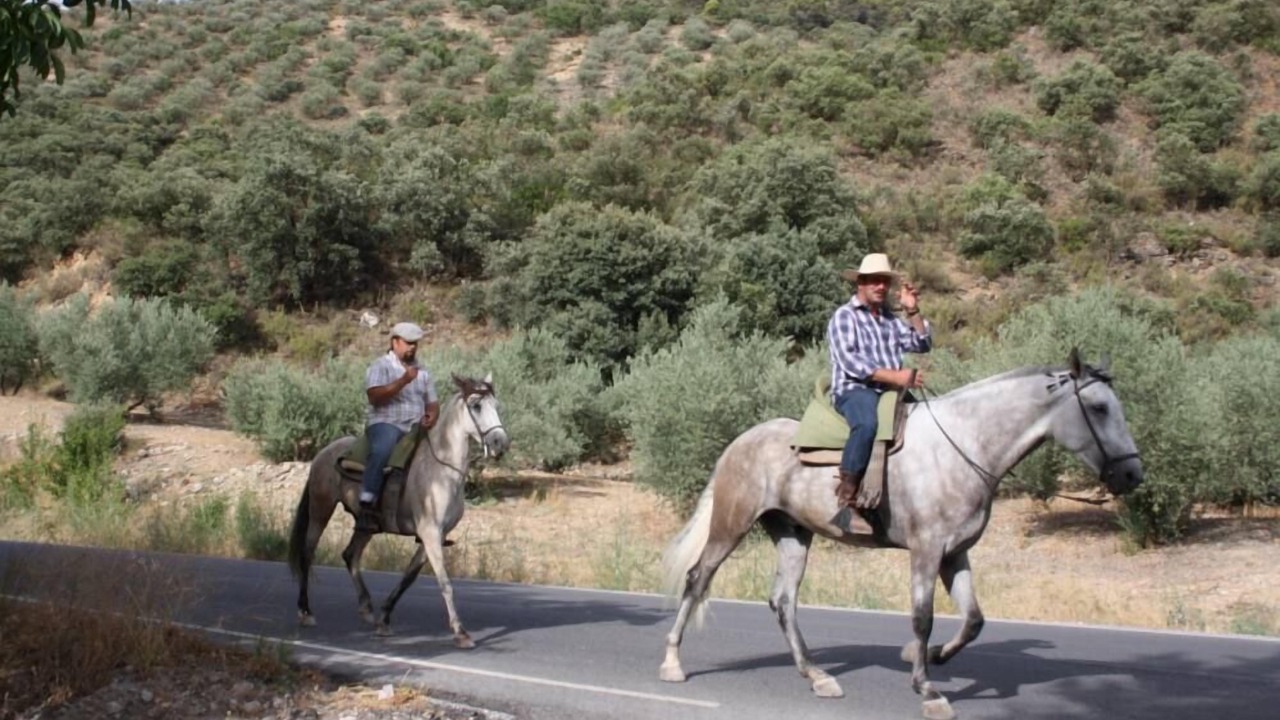 Photo of Others in Montefrio