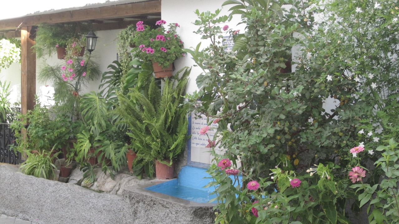 Photo of Others in Lanjaron