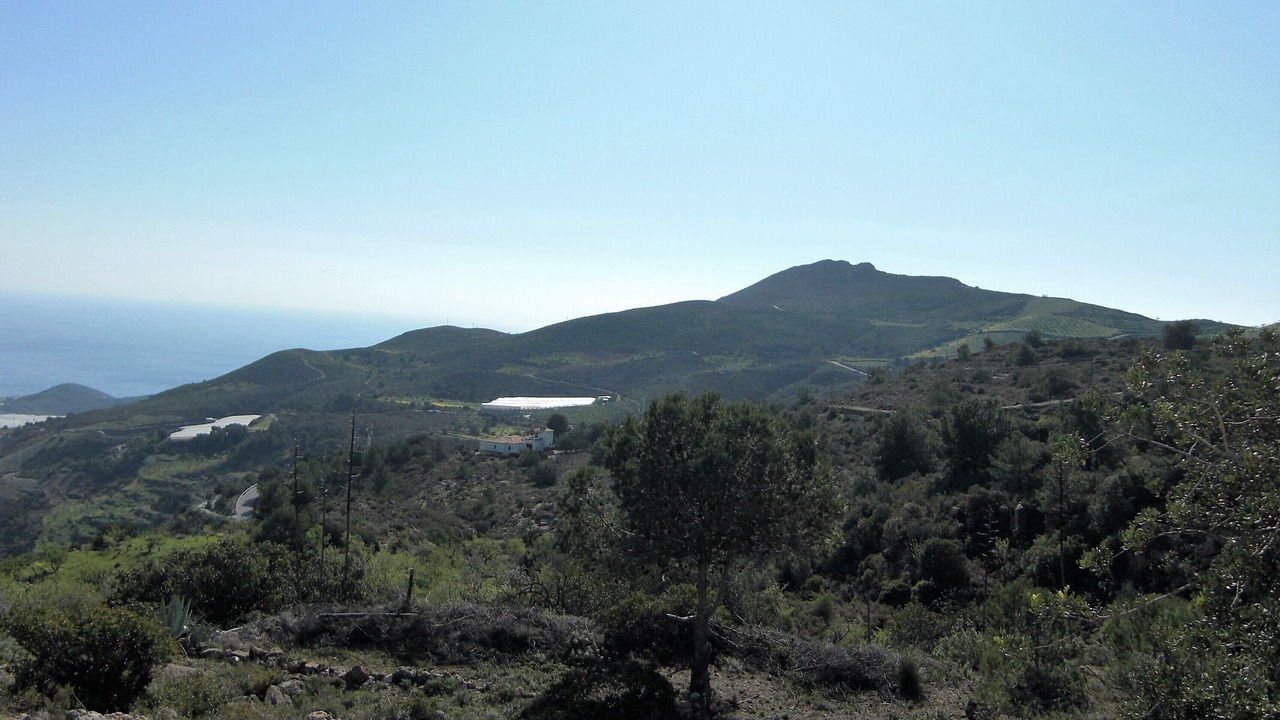 Photo of Others in Castell de Ferro