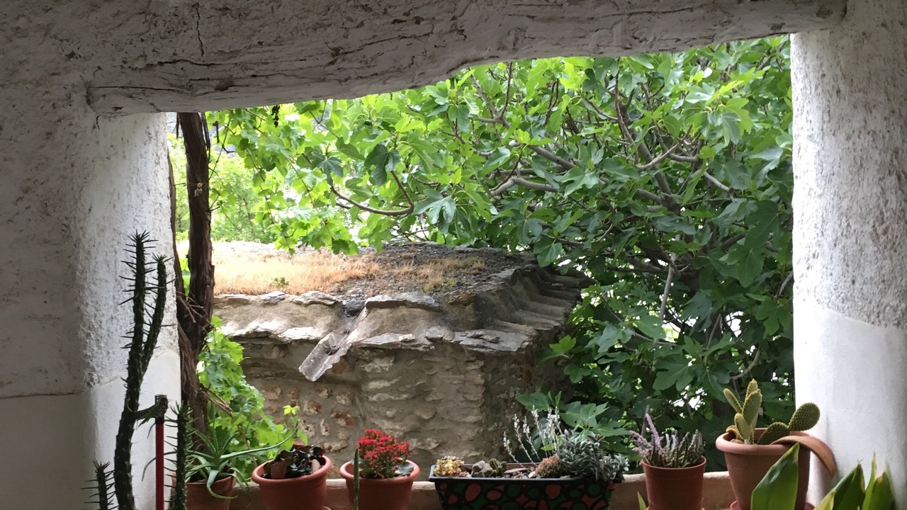 Photo of Others in Ferreirola