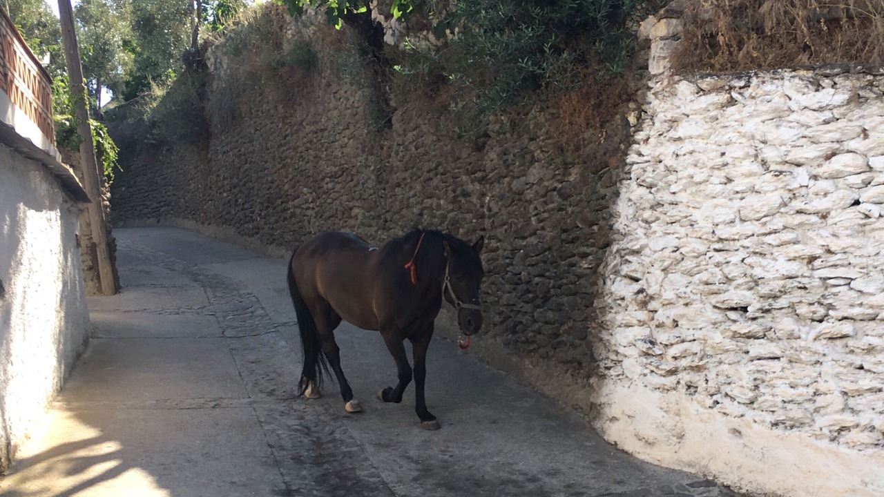 Photo of Others in Ferreirola