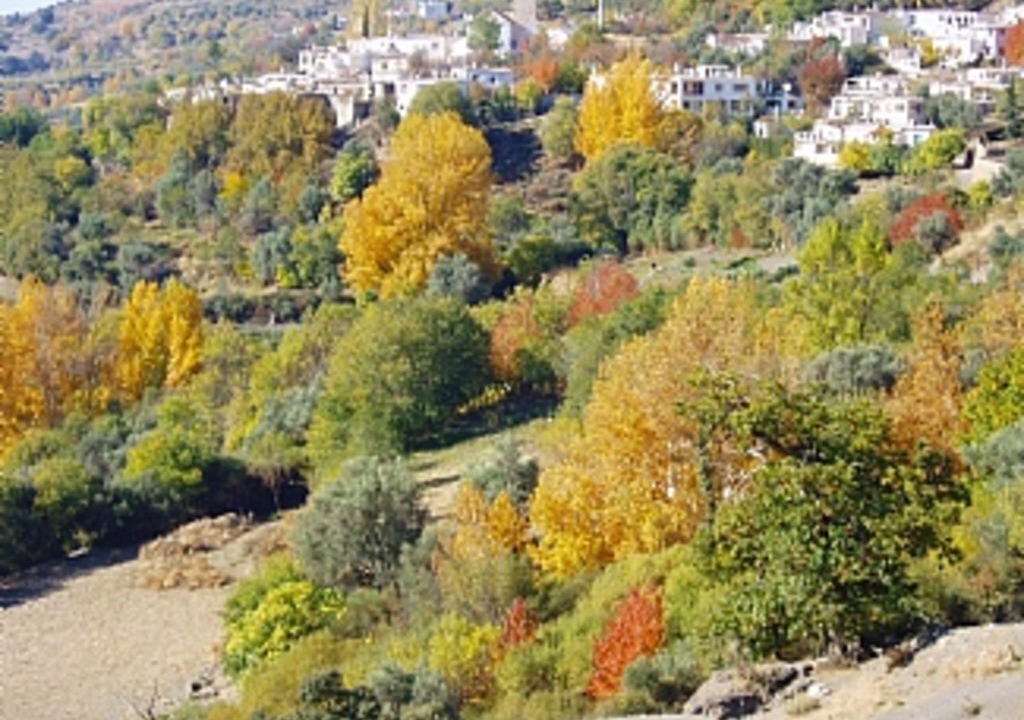 Photo of Others in Ferreirola