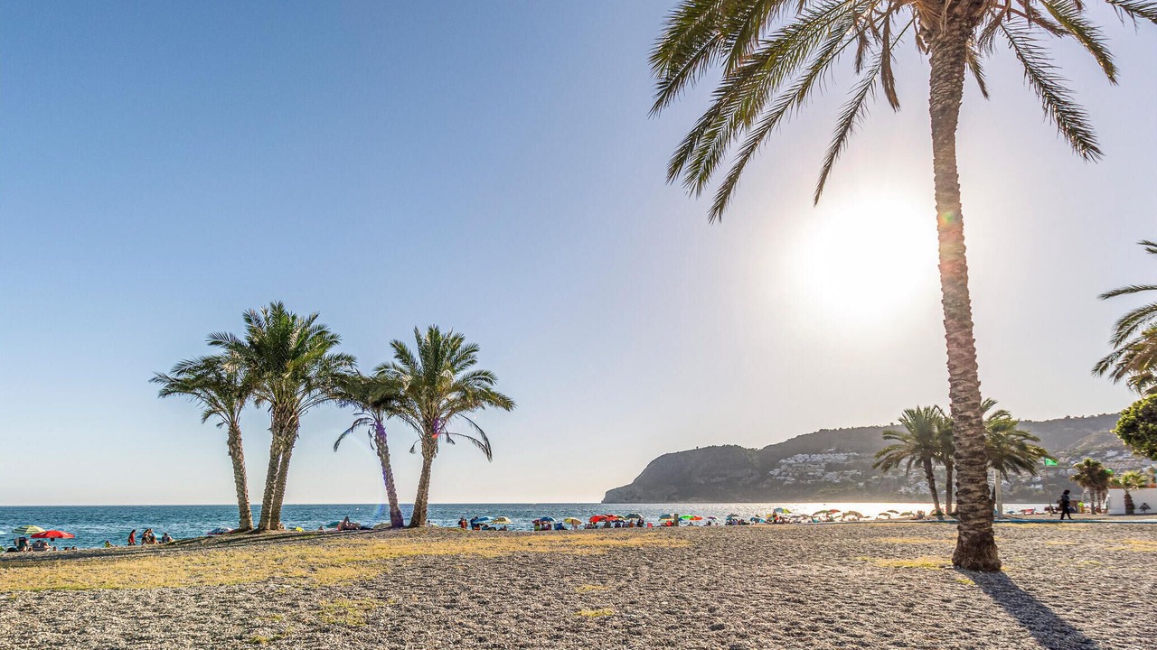Photo of Others in La Herradura