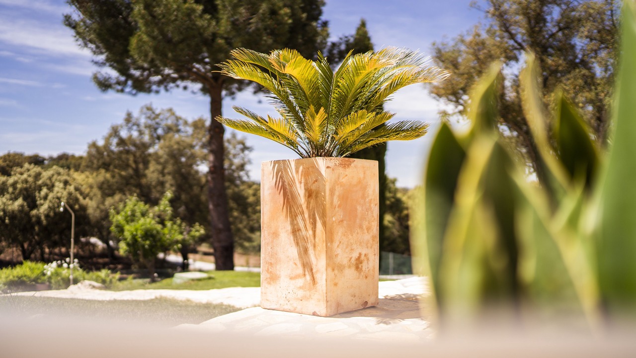 Photo of Outdoor in Alhama de Granada
