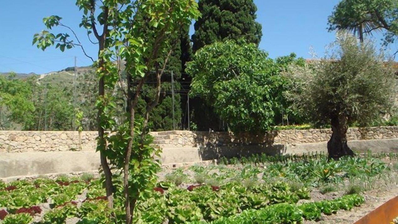 Photo of Outdoor in Velez de Benaudalla