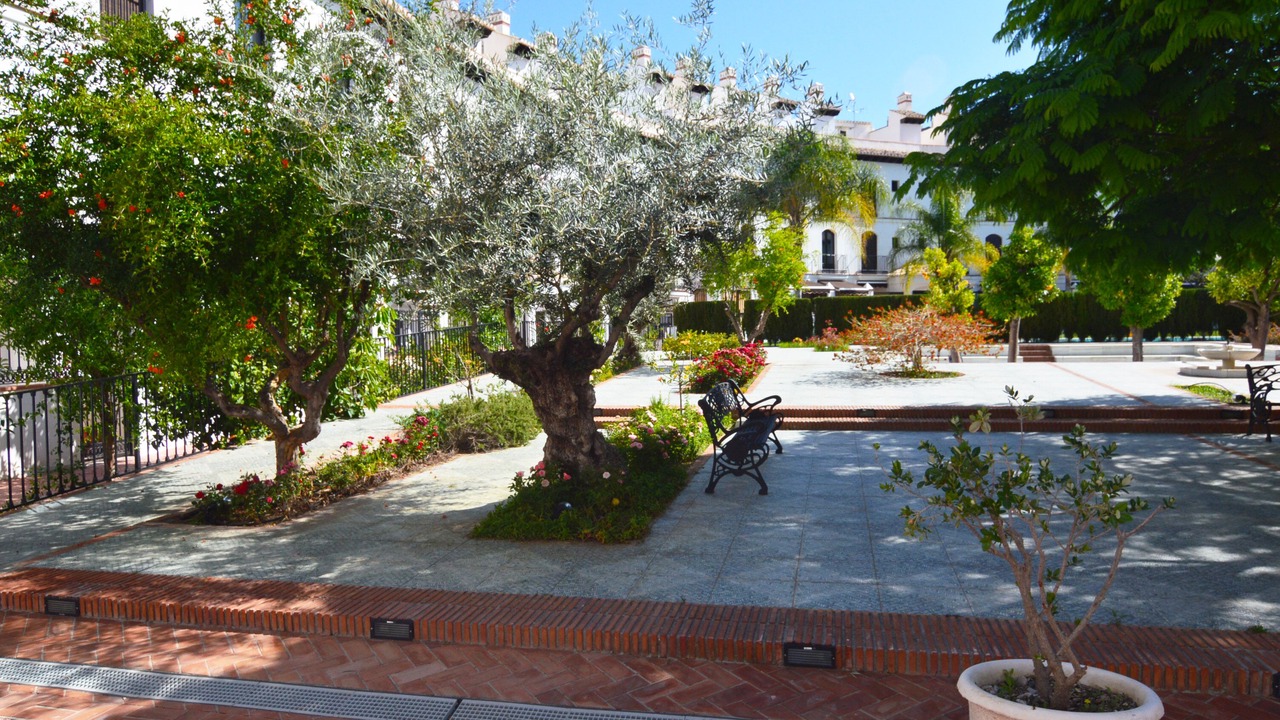 Photo of Outdoor in Velez de Benaudalla