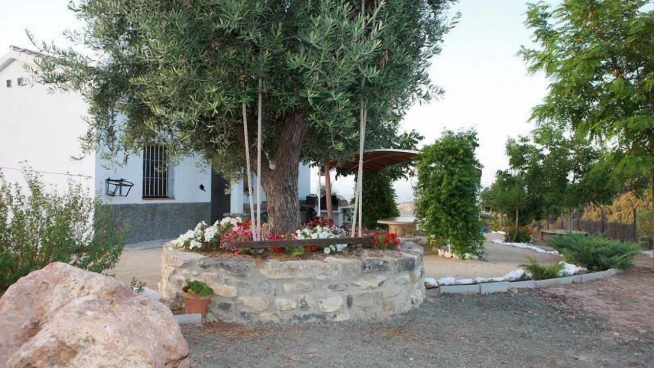 Photo of Outdoor in Montefrio