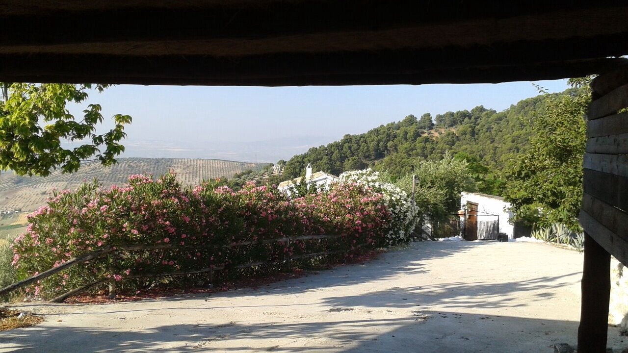 Photo of Outdoor in Montefrio