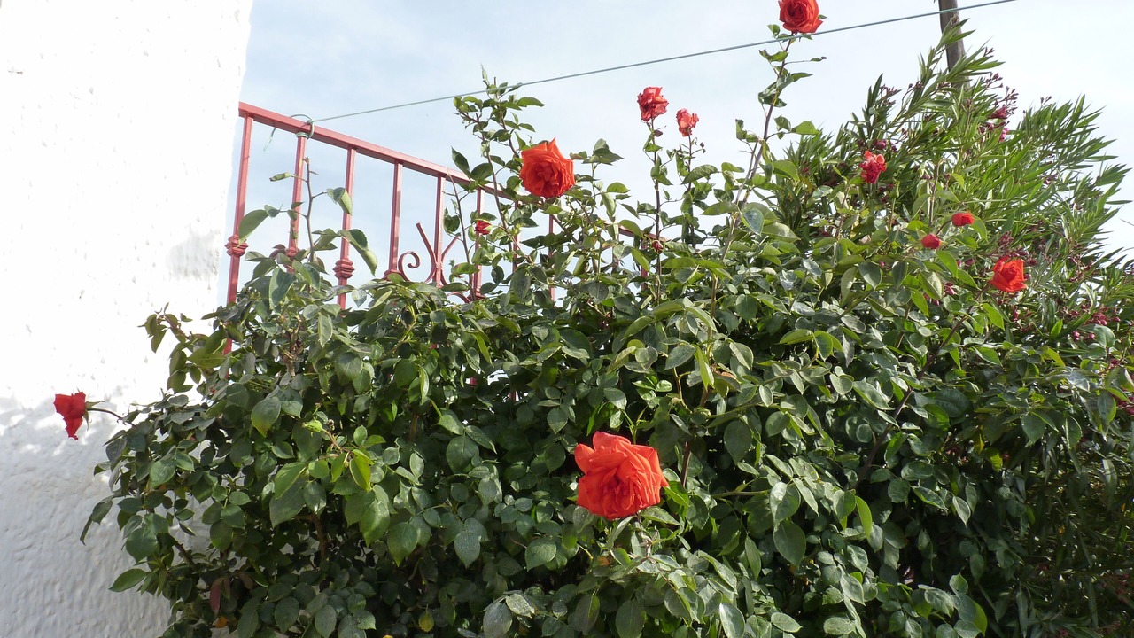 Photo of Outdoor in Guadix