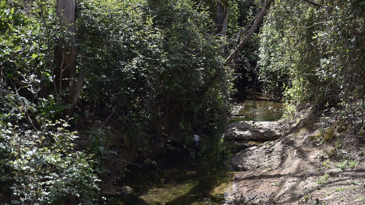 Photo of Outdoor in Loja