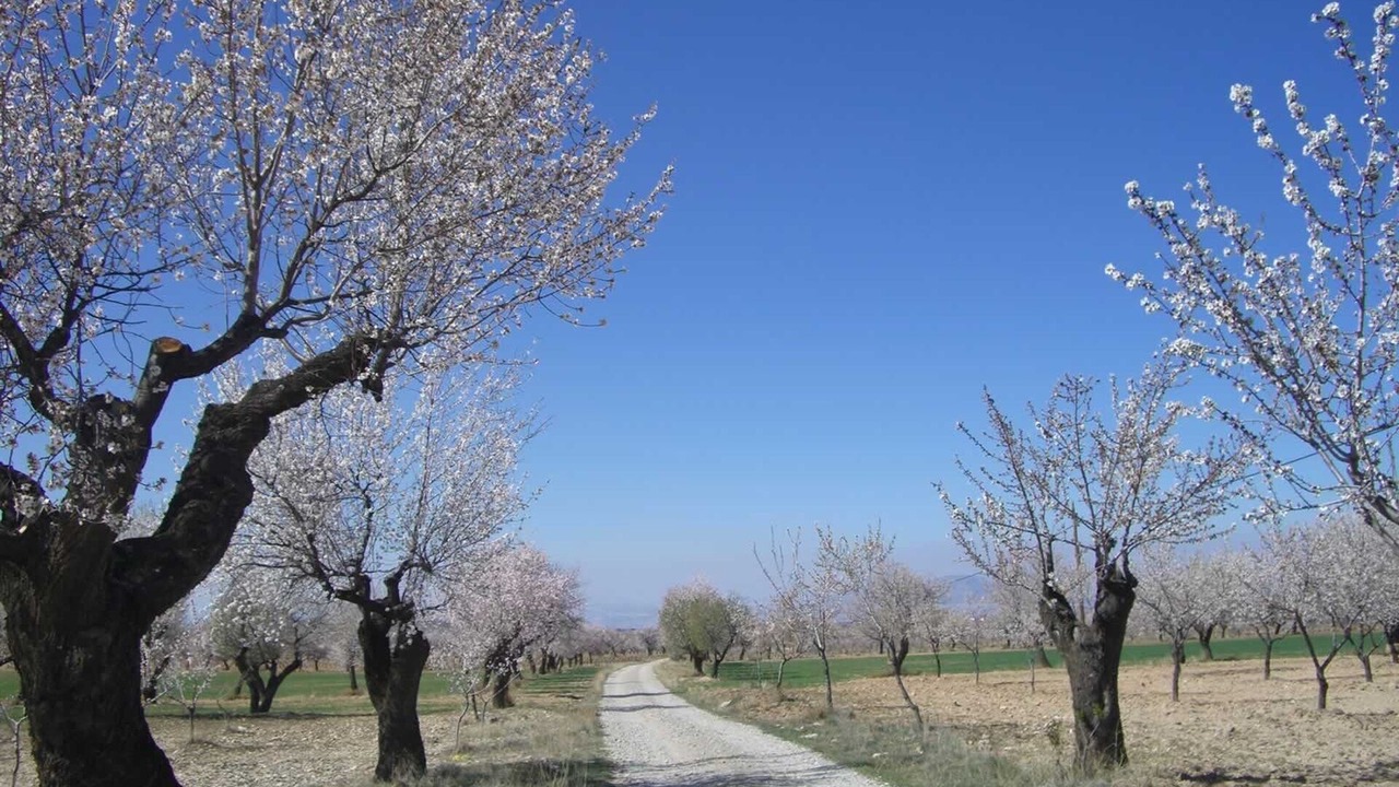 Photo of Outdoor in Gor