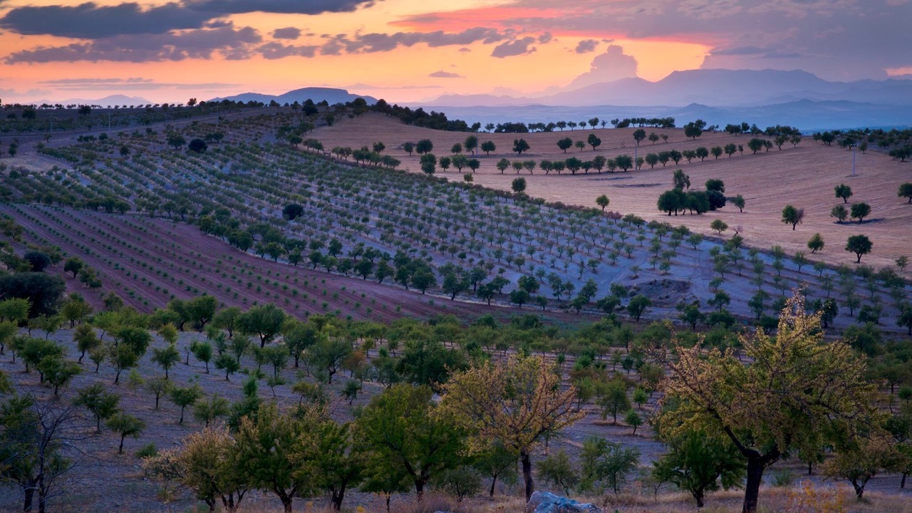 Photo of Outdoor in Los Balcones
