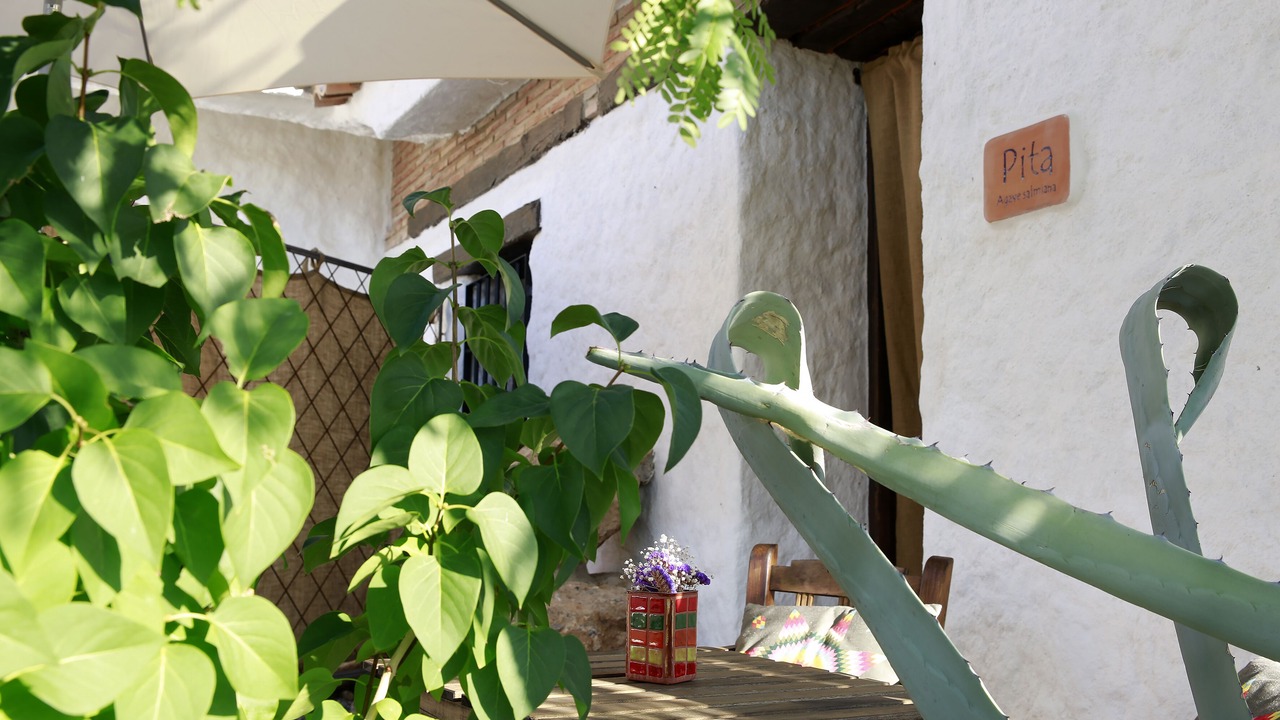 Photo of Outdoor in Los Balcones