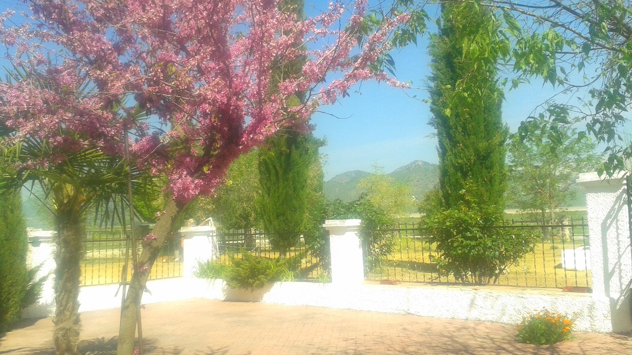 Photo of Outdoor in Escoznar