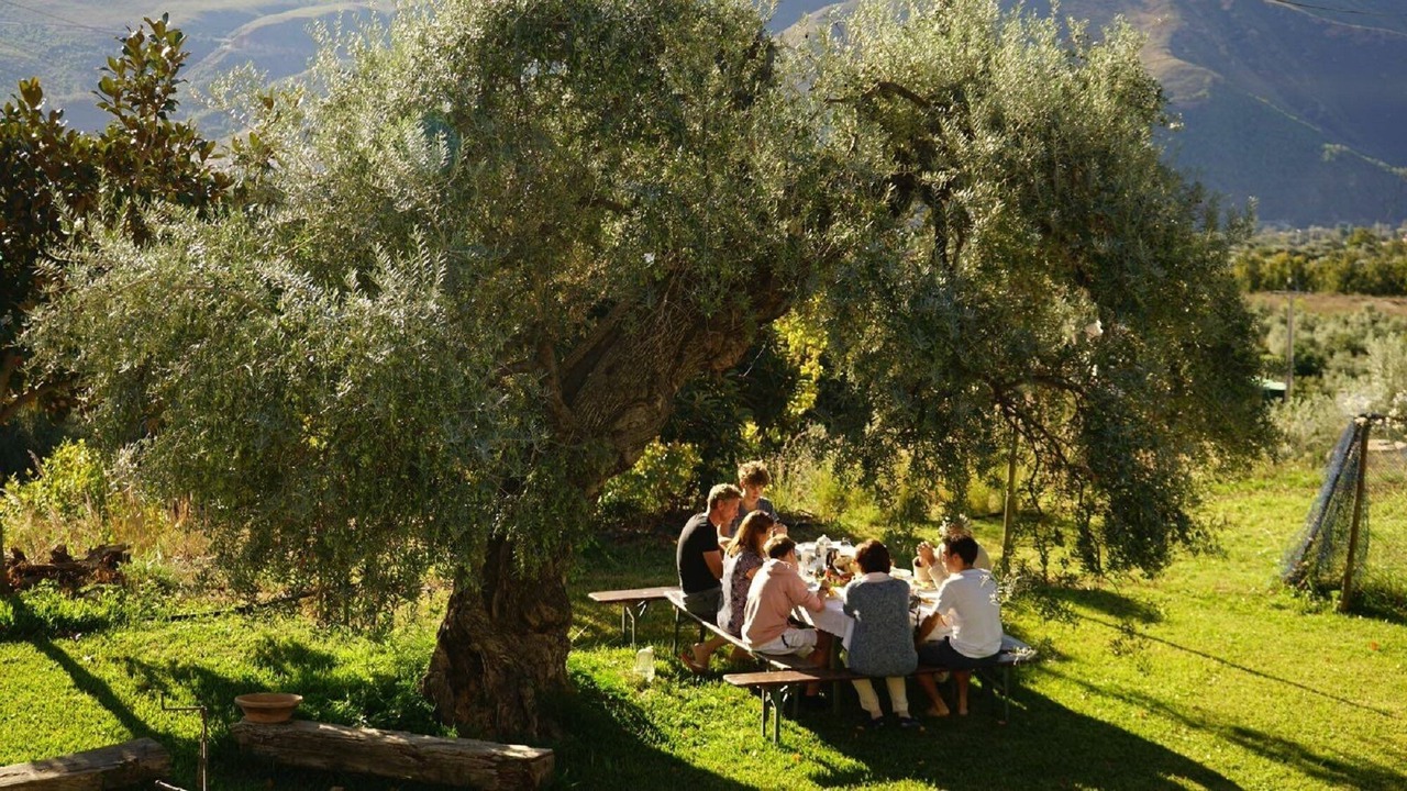 Photo of Outdoor in Orgiva