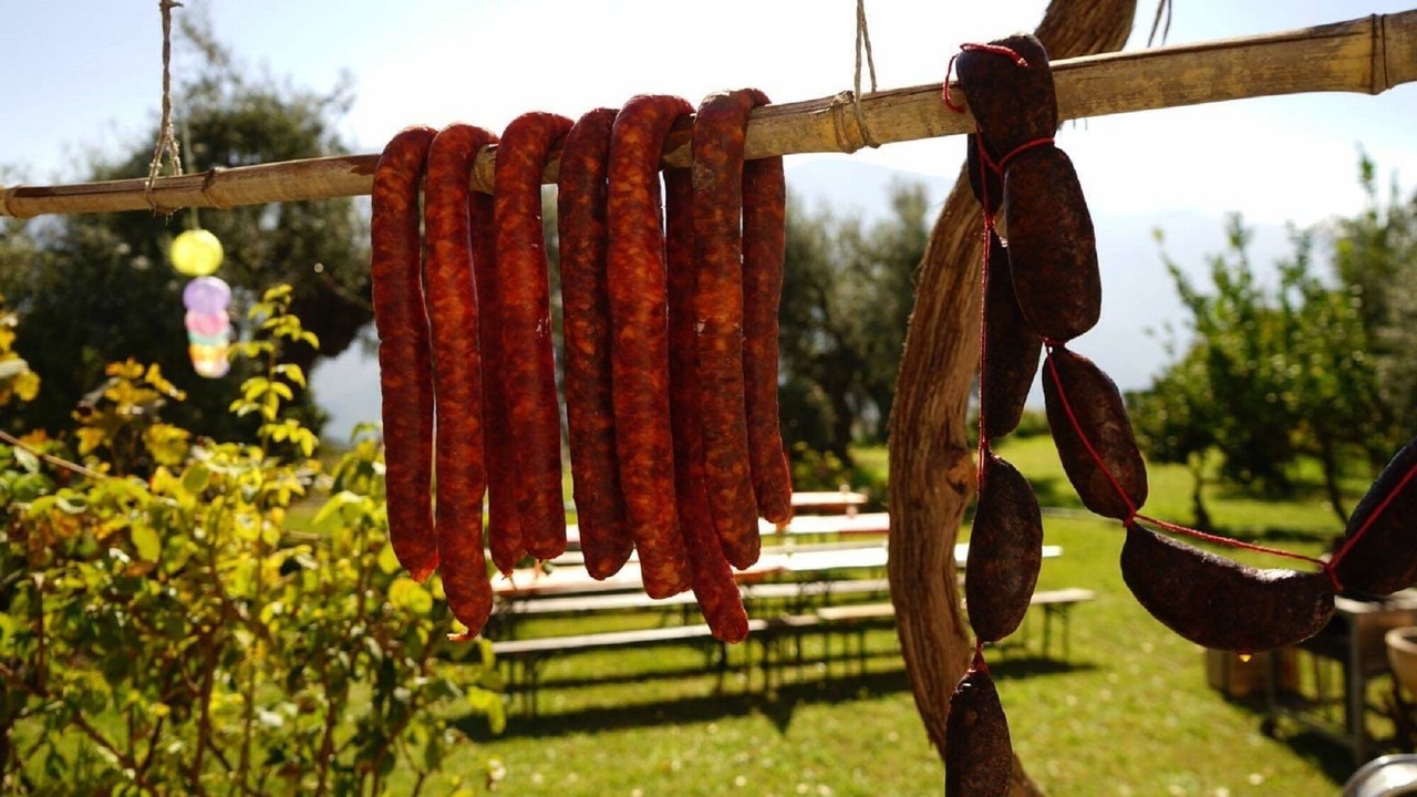 Photo of Outdoor in Orgiva