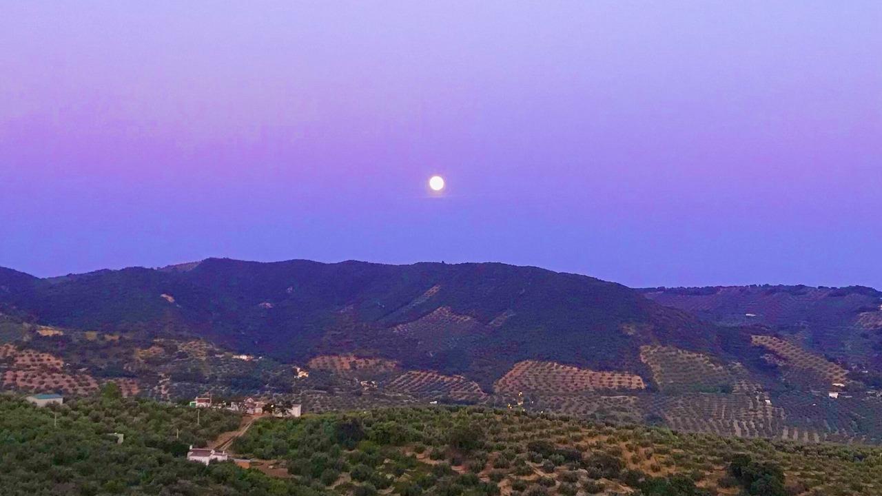 Photo of Others in Algarinejo