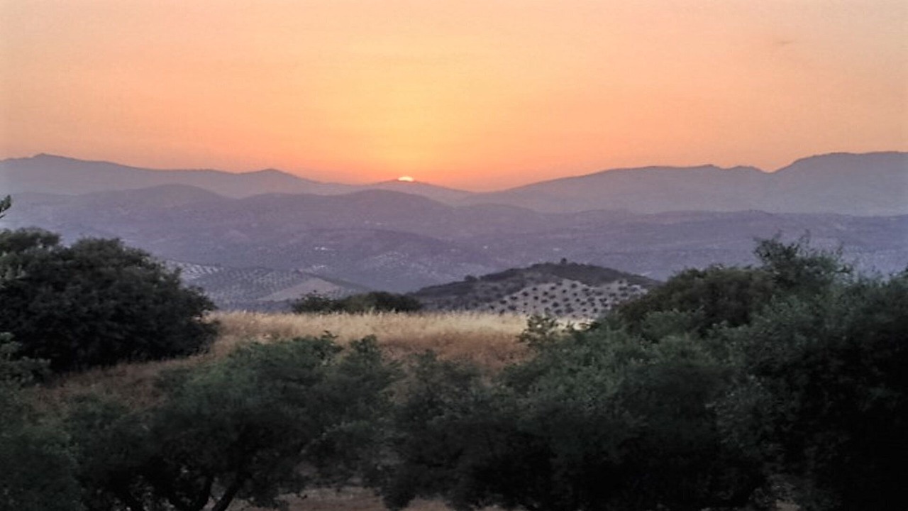 Photo of Others in Algarinejo