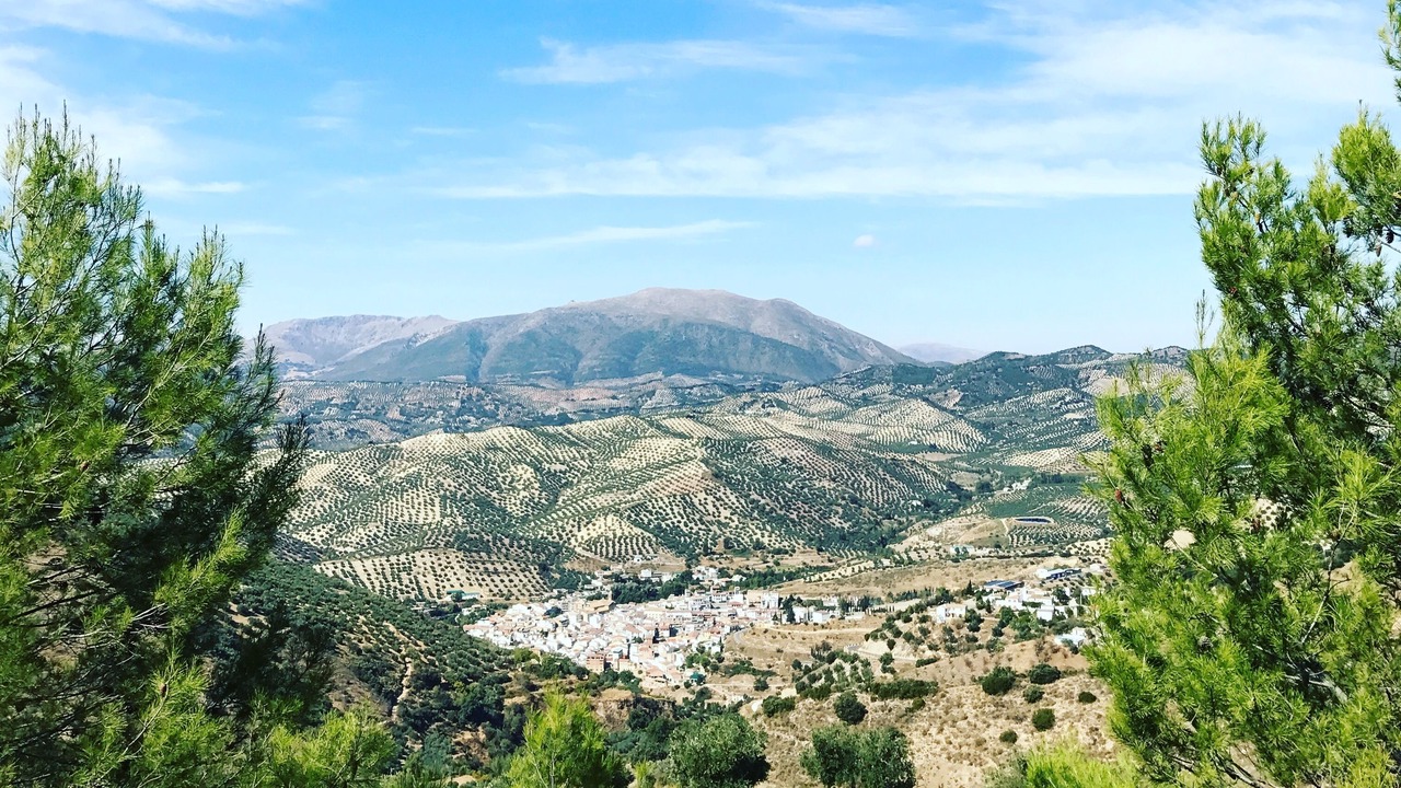 Photo of Others in Algarinejo