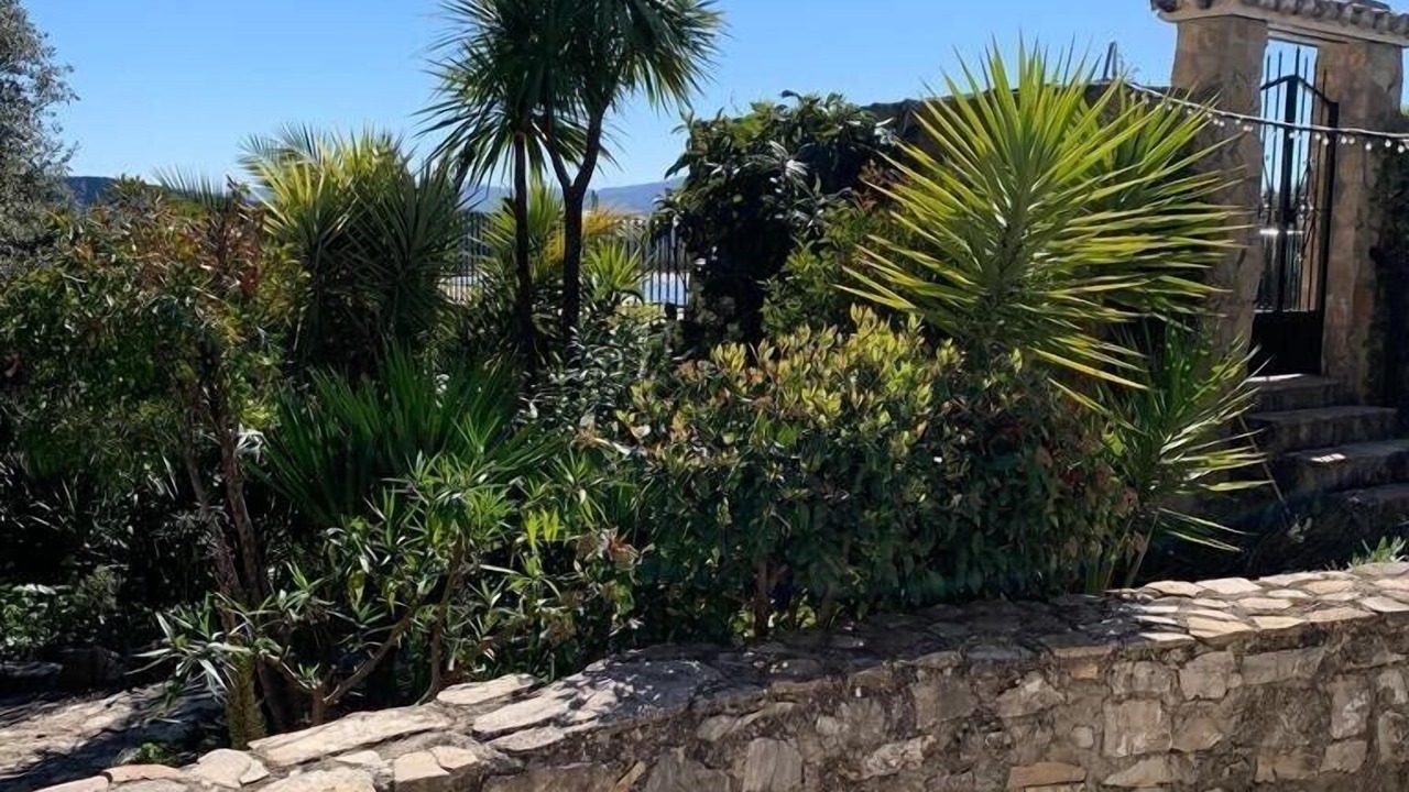 Photo of Outdoor in Algarinejo