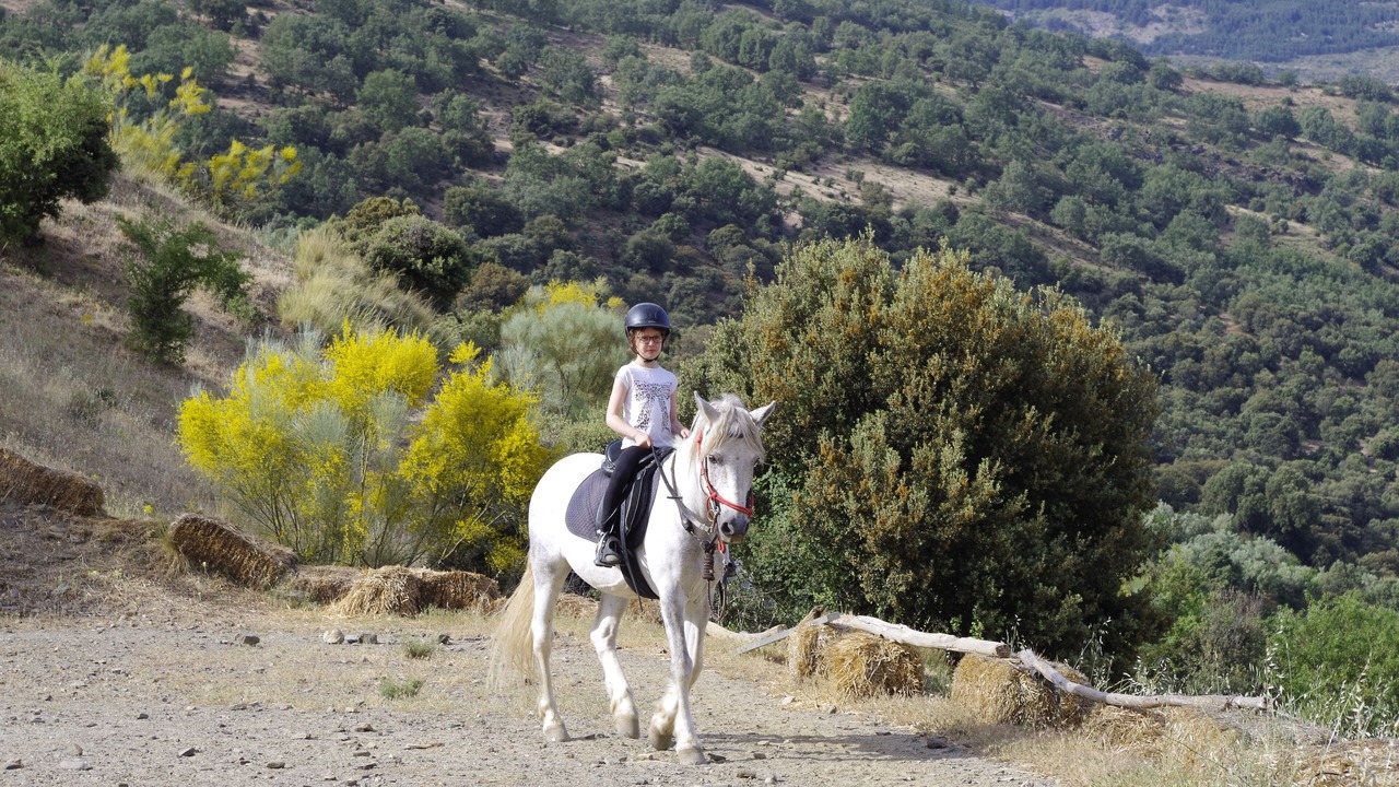 Photo of Others in Guejar Sierra