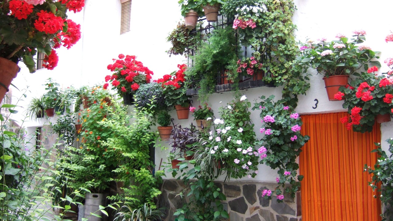 Photo of Others in Guejar Sierra