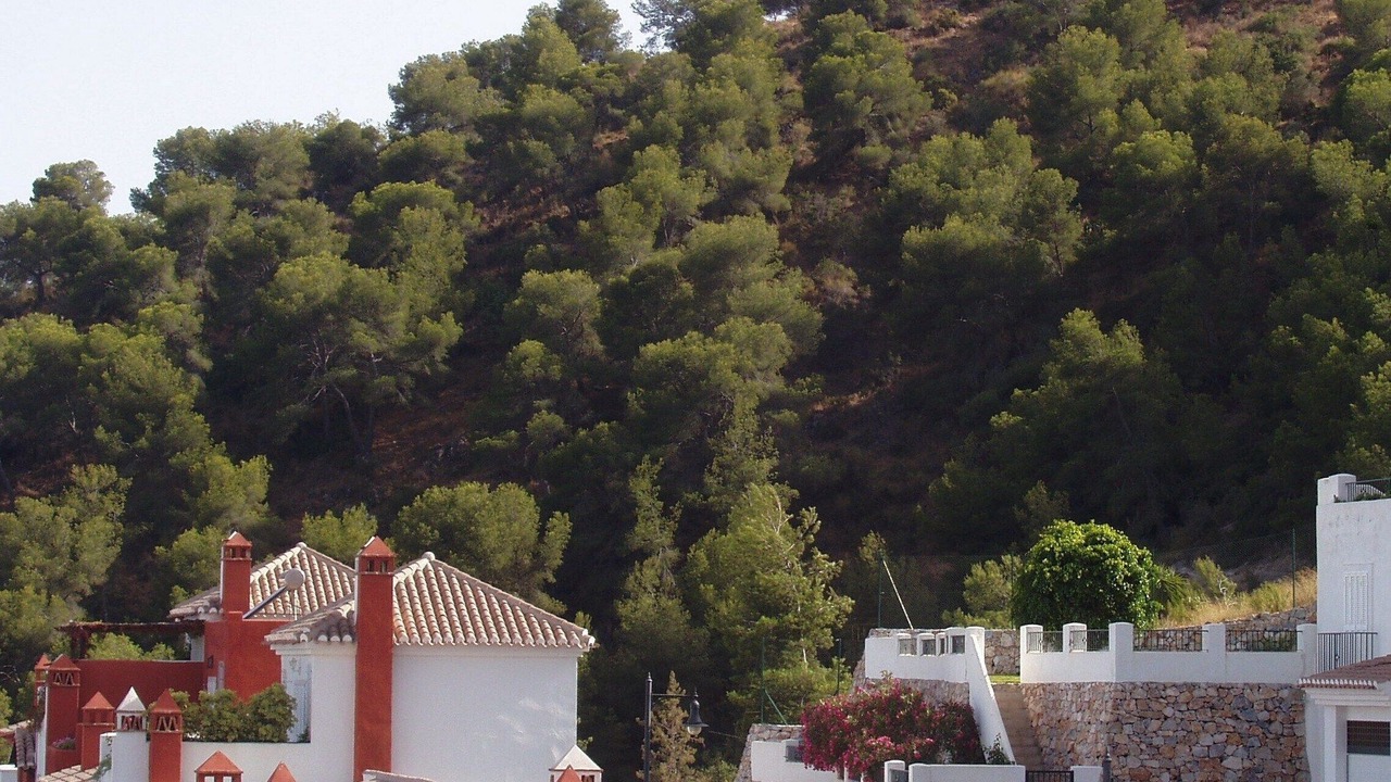 Photo of Others in La Herradura