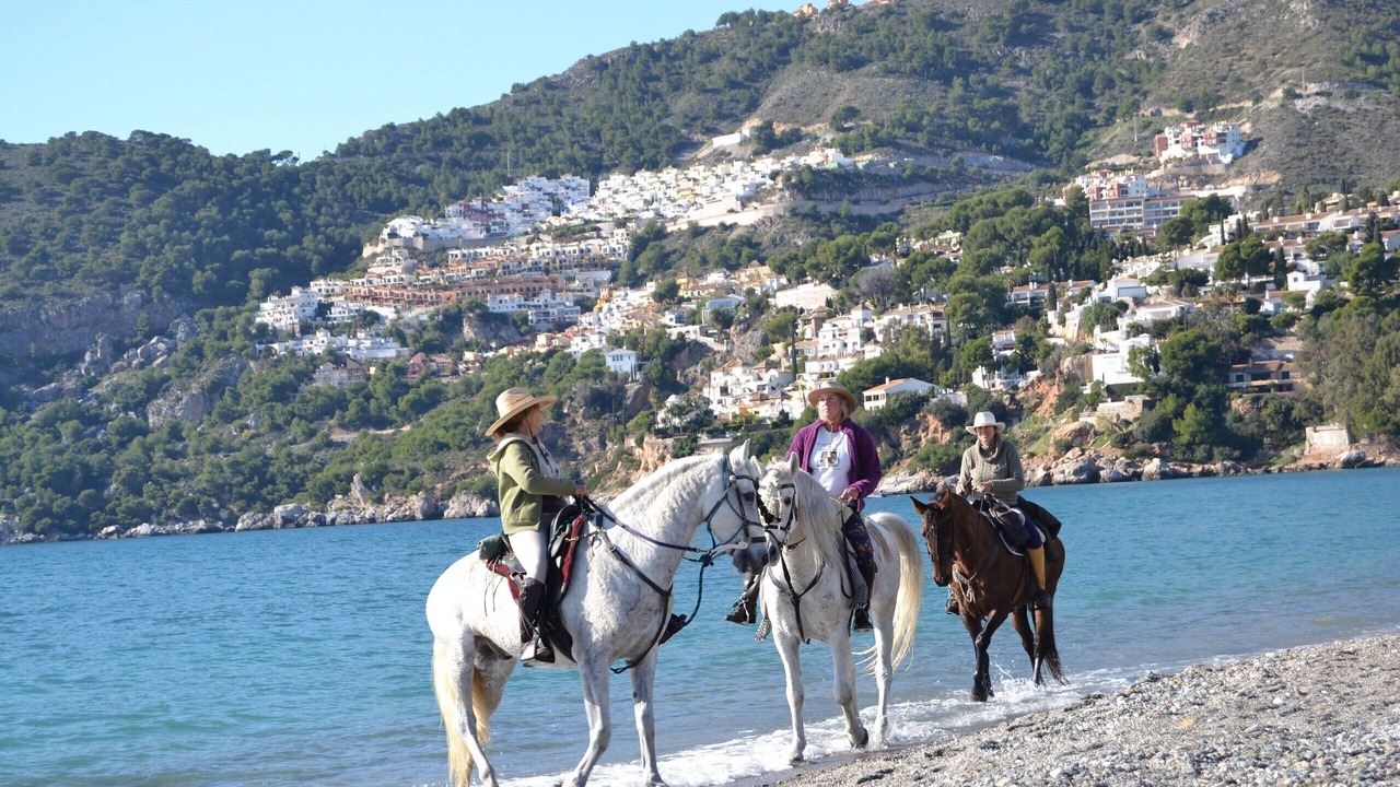 Photo of Others in La Herradura
