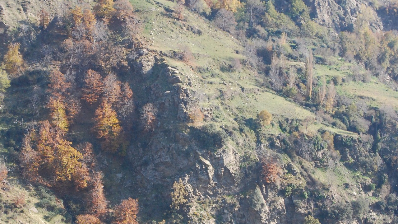 Photo of Others in Bubion