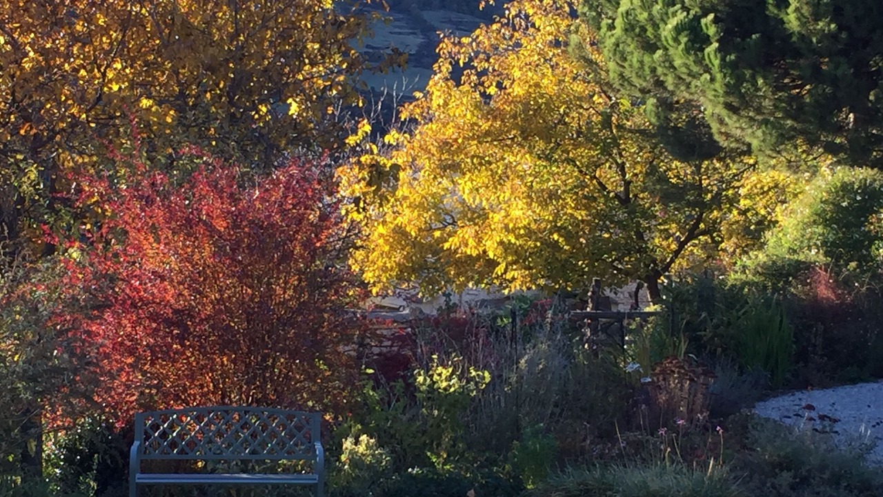 Photo of Outdoor in Bubion