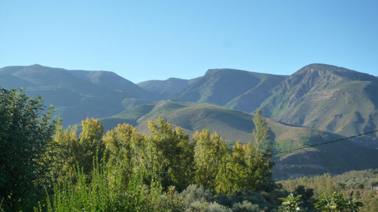 Photo of Others in Orgiva