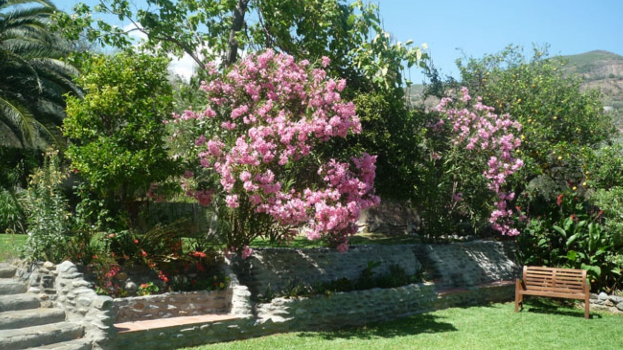 Photo of Others in Orgiva
