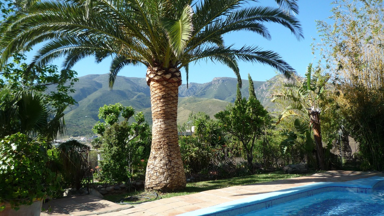 Photo of Outdoor in Orgiva