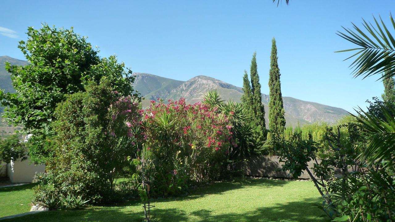 Photo of Others in Orgiva