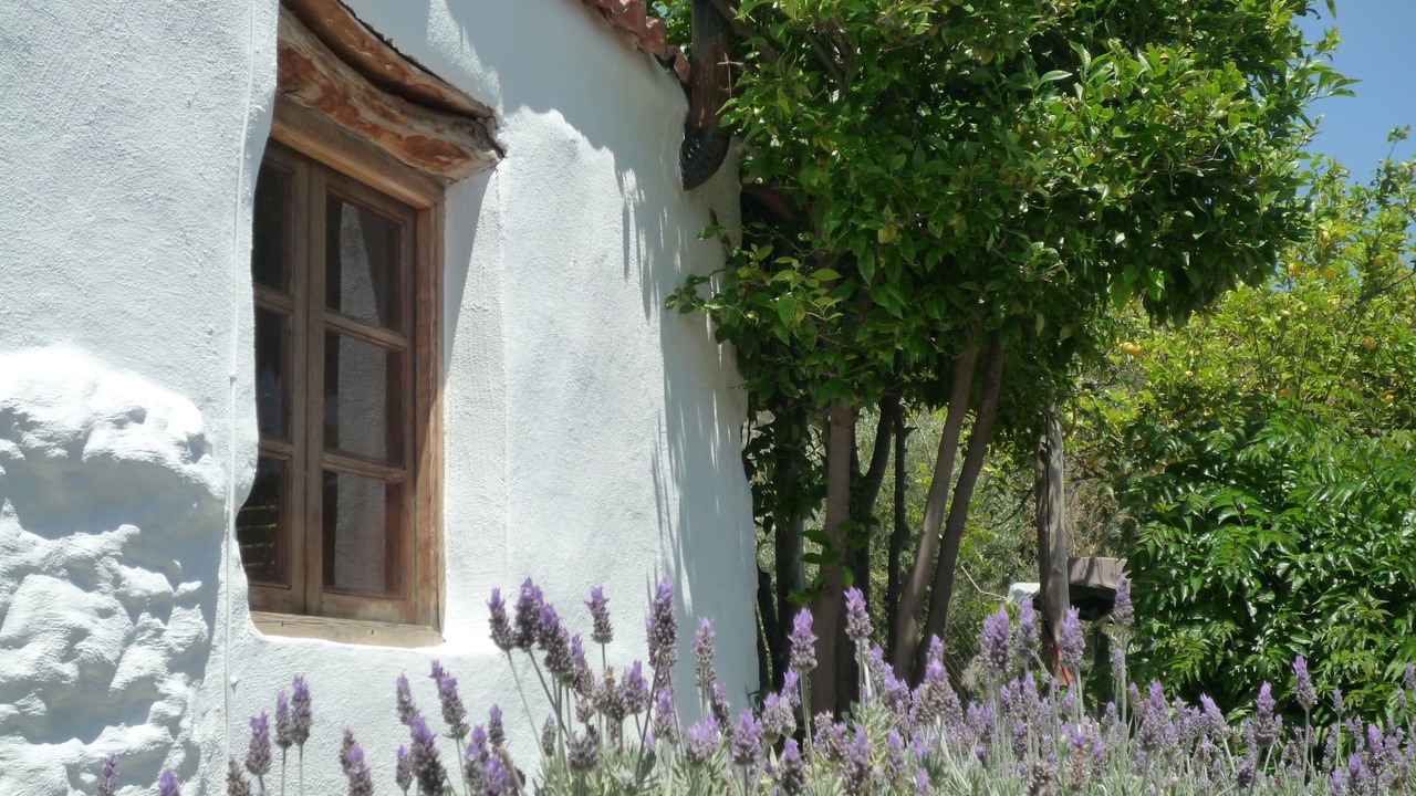 Photo of Others in Orgiva
