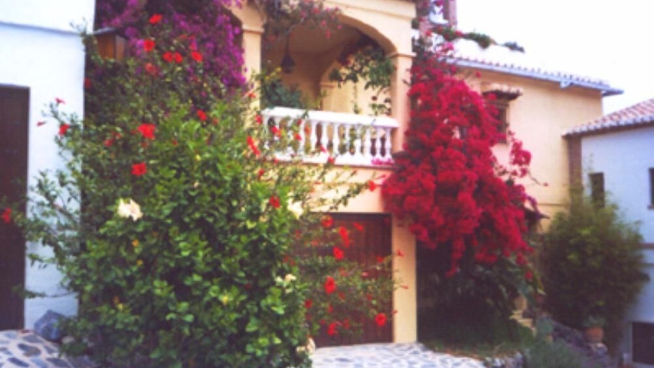 Photo of Others in La Herradura