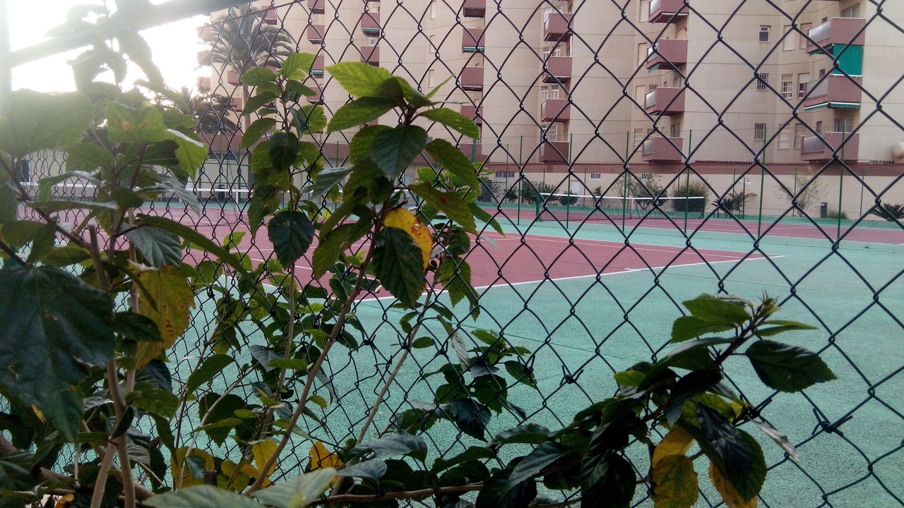 Photo of Others in Almunecar