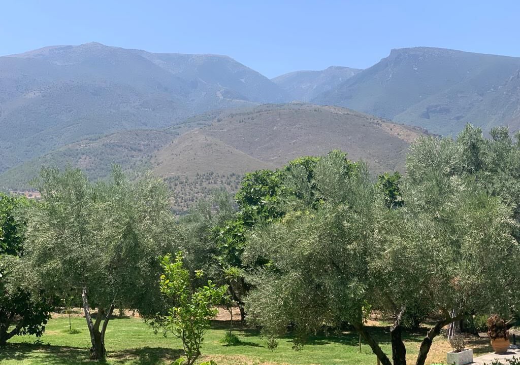Photo of Outdoor in Orgiva