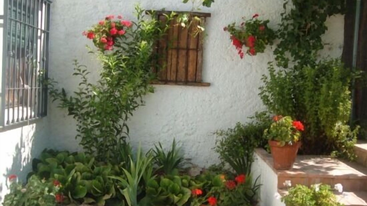 Photo of Outdoor in Monachil
