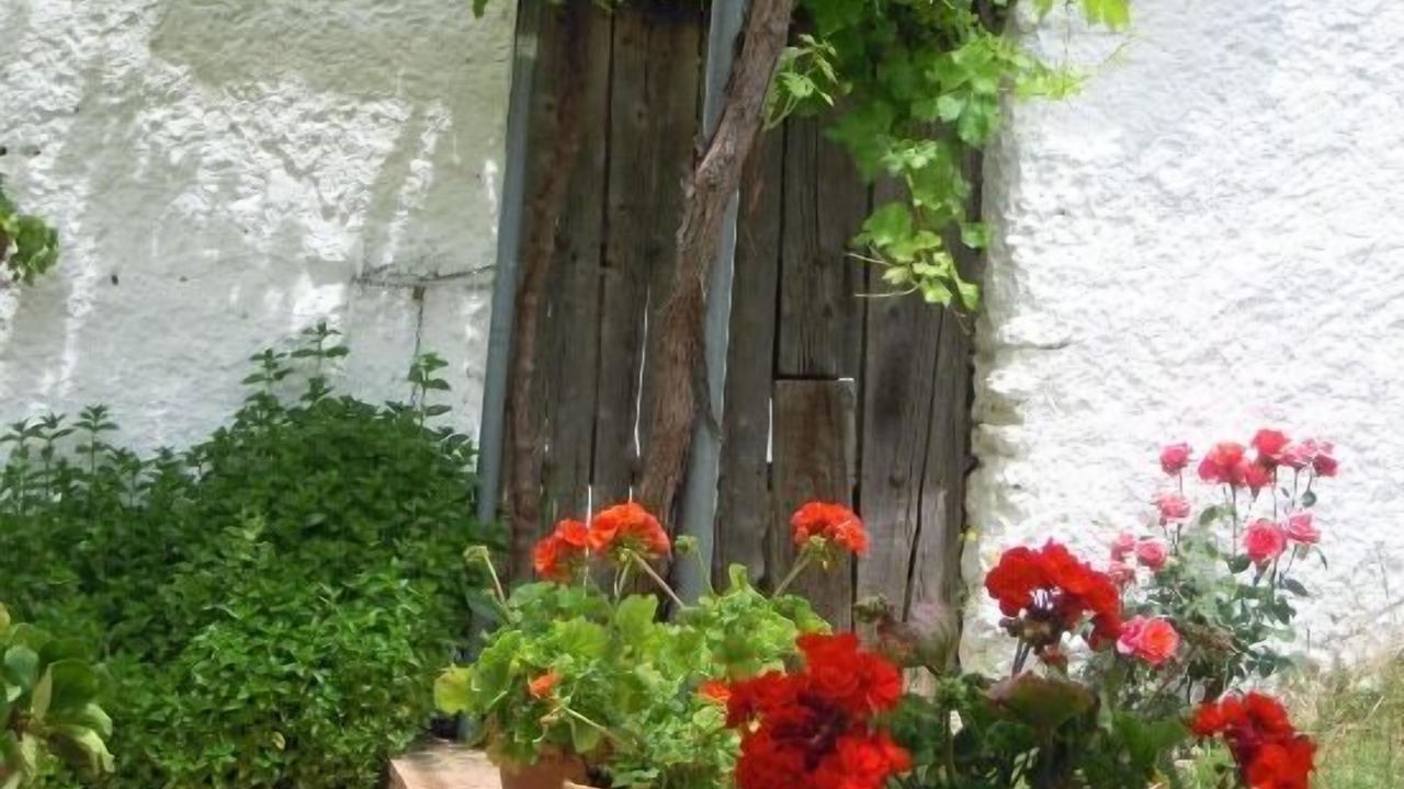 Photo of Outdoor in Monachil