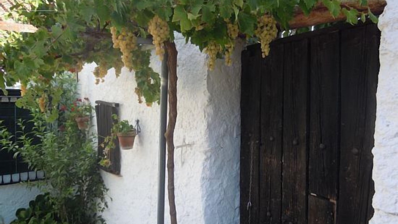 Photo of Outdoor in Monachil