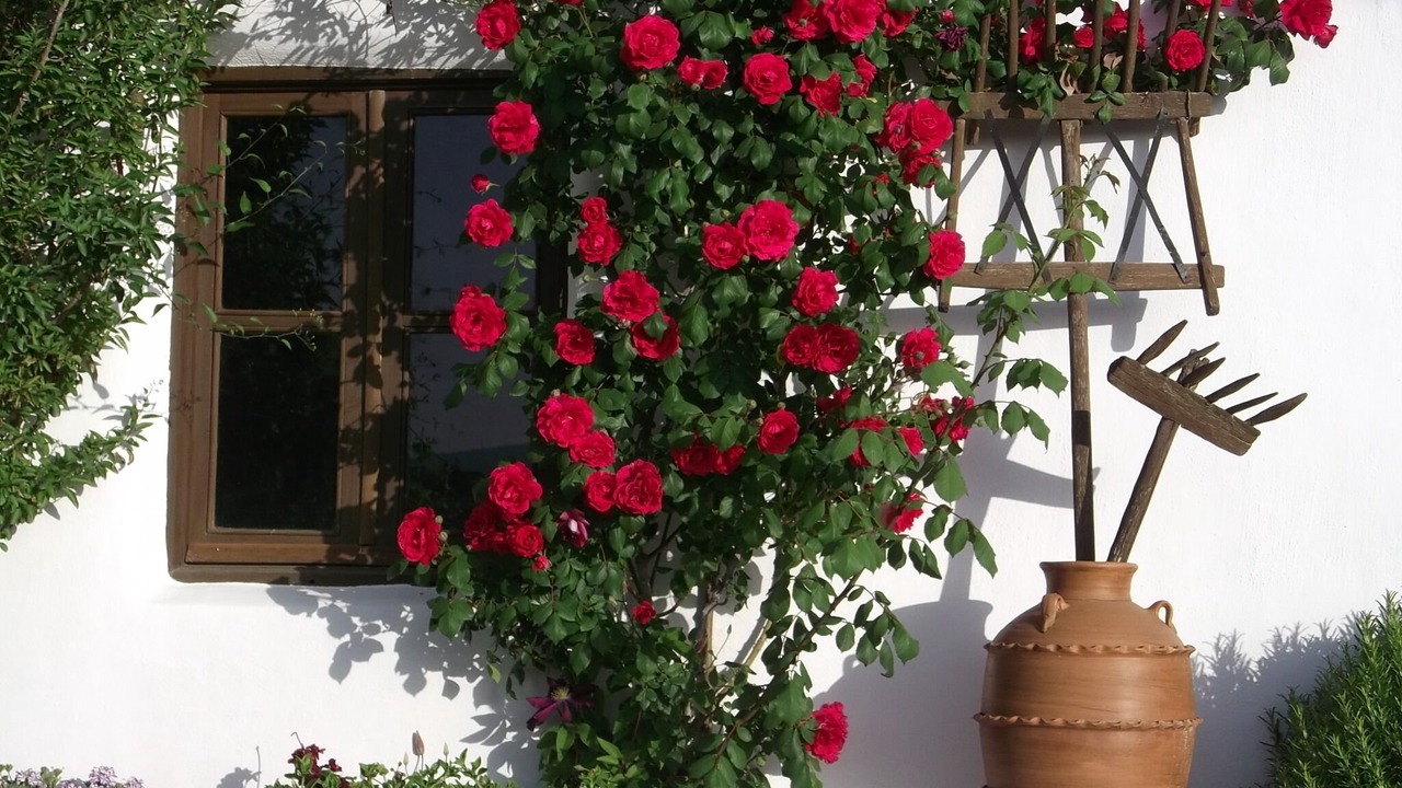 Photo of Outdoor in Montefrio