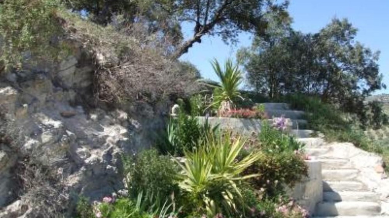 Photo of Outdoor in Montefrio